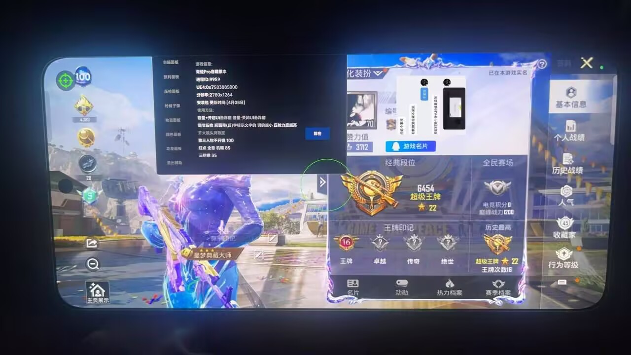 和平精英【青蛙Pro】辅助烟雾漏打/单透/自瞄双版本